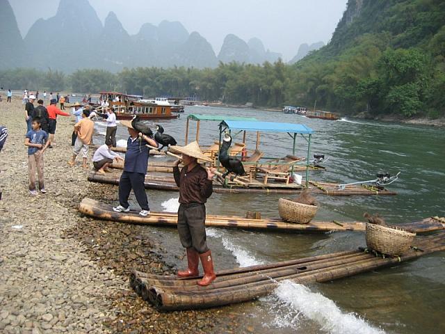 IMG 0265