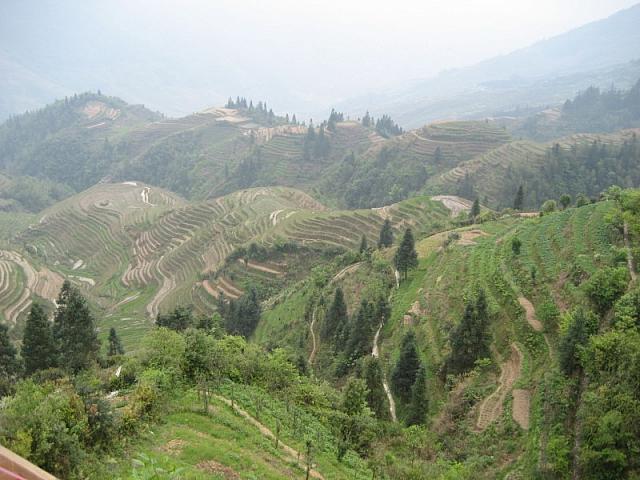 IMG 0309