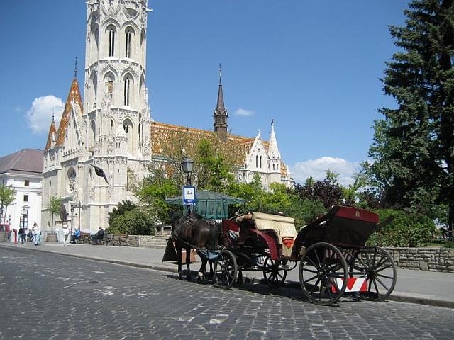 IMG 7888