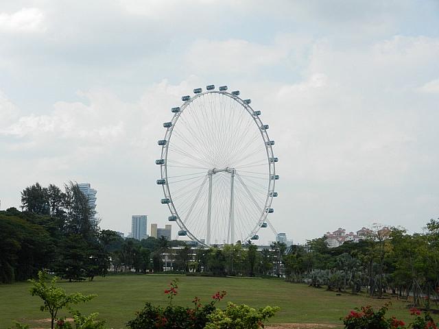 DSCN5010