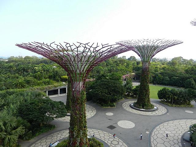 DSCN5065