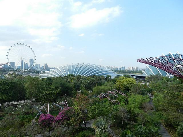DSCN5066