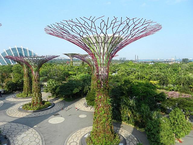 DSCN5076