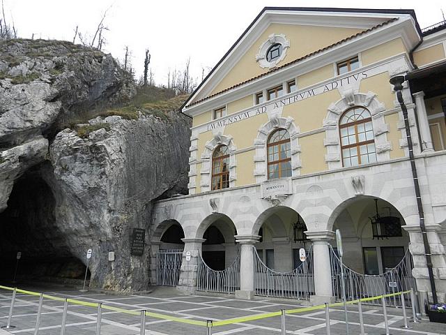 DSCN5562