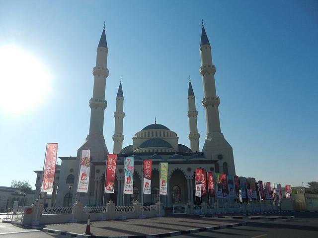 DSCN0697