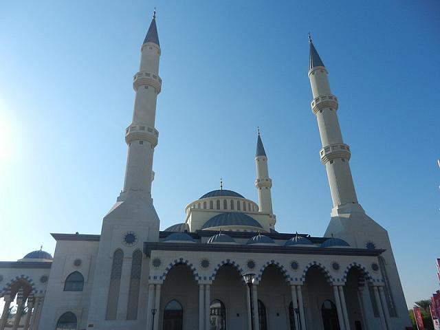 DSCN0700