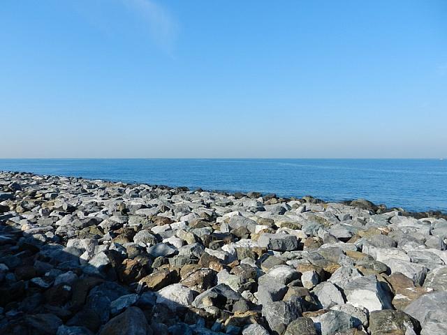 DSCN0717