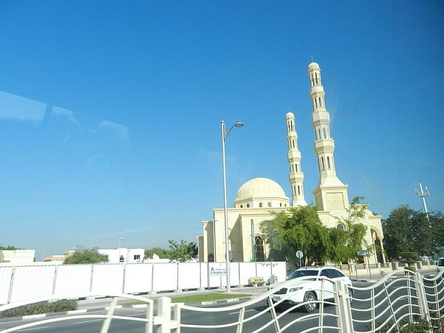 DSCN0749