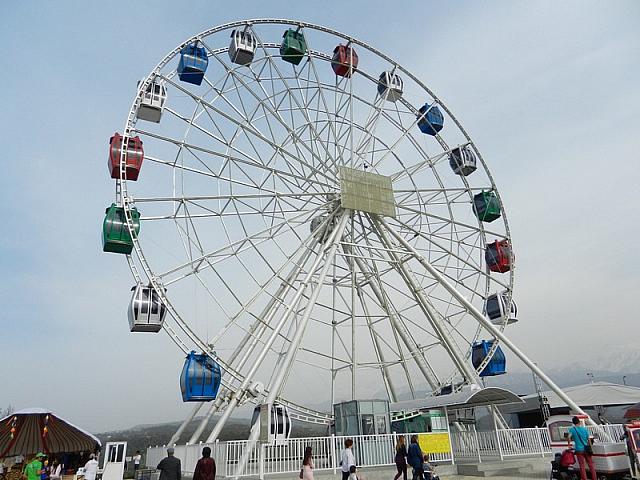 DSCN6073