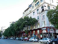 DSCN8493
