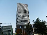 DSCN8555