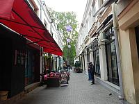DSCN6985