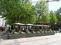 DSCN3367