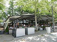 DSCN9039