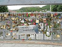 DSCN8885