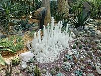 DSCN5028