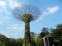 DSCN5063