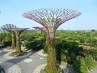 DSCN5076