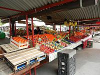 DSCN5801