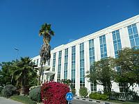 DSCN0774
